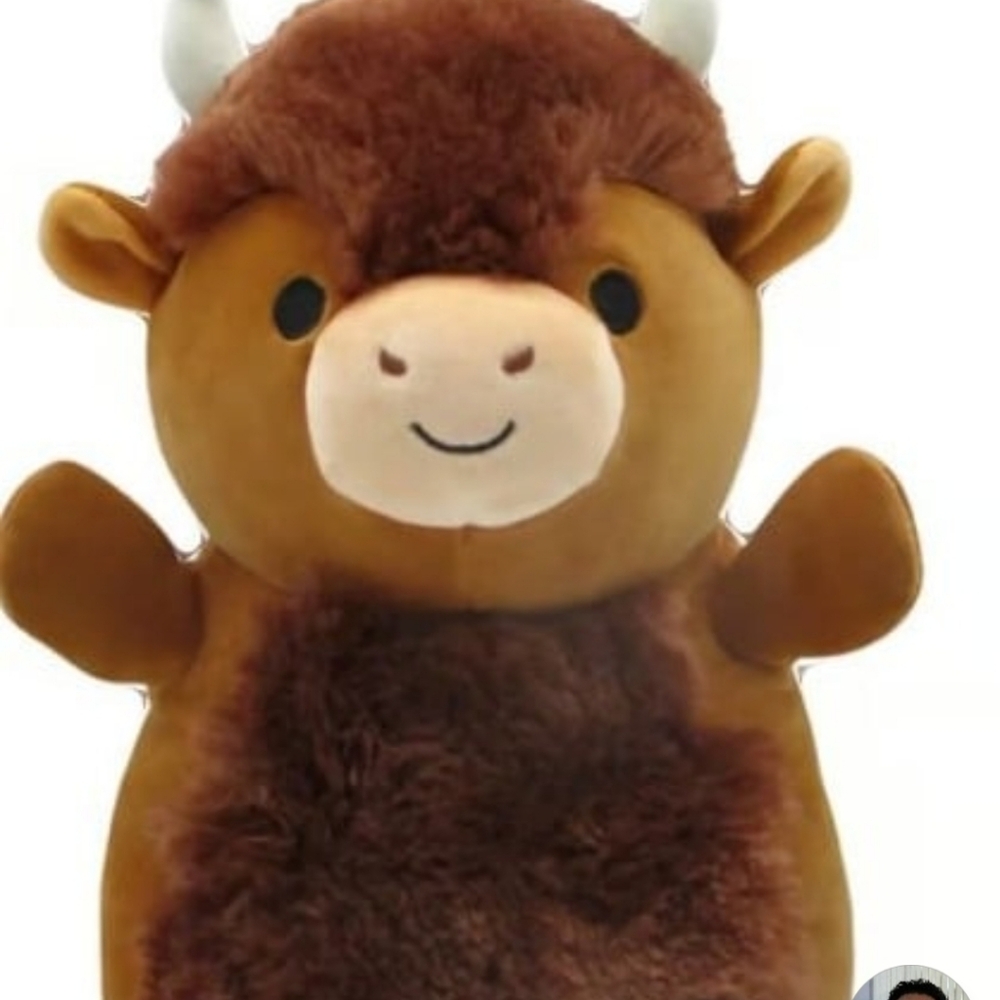 10” Dunkie the Bison Squishmallow Hugmee